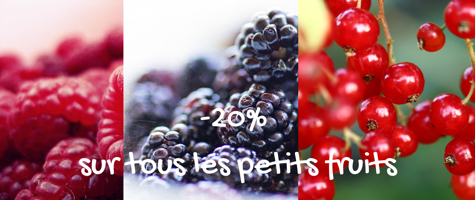 -20% Petits fruits